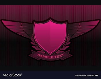 Vintage emblems with shield vector image
