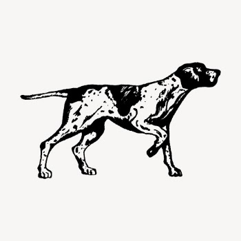 Vintage English pointer, dog illustration | Free Vector Illustration - rawpixel