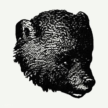 Vintage European style bear engraving | Free stock vector - 586565