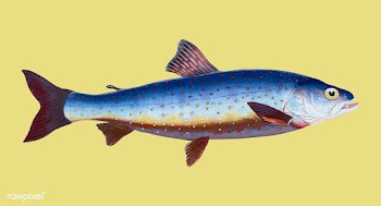 Vintage fish illustration | Free stock vector - 504444