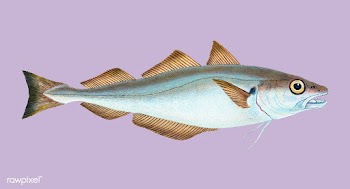 Vintage fish illustration | Free stock vector - 504572