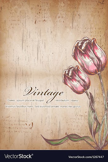 Vintage floral background vector image