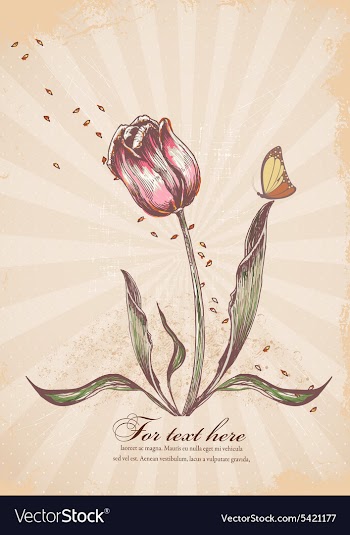 Vintage floral background vector image