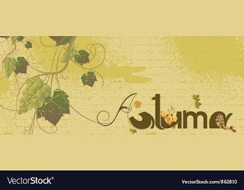 Vintage floral background vector image