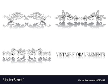 Vintage floral elements vector image