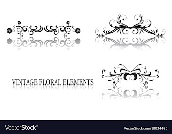 Vintage floral elements vector image