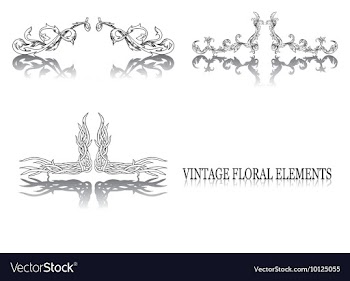 Vintage floral elements vector image