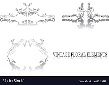 Vintage floral elements vector image