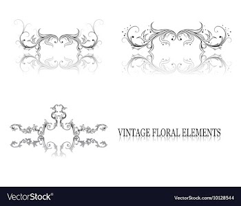 Vintage floral elements vector image