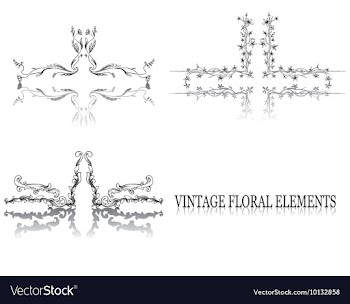 Vintage floral elements vector image
