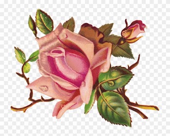 Vintage Floral Label - One Pink Rose Wall Clock