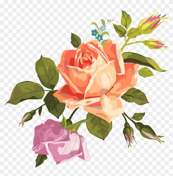 Vintage Flower Art Prints Download - Rose Png