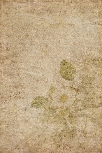 Vintage flower background, old paper | Free Photo - rawpixel