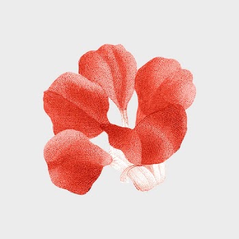 Vintage flower, botanical design, remixed | Free Photo Illustration - rawpixel