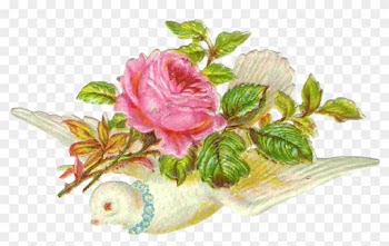 Vintage Flower Clipart Vintage Bird - Dove With Pink Rose