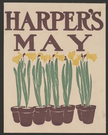 Vintage Flower Illustration (1899) print | Free Photo - rawpixel