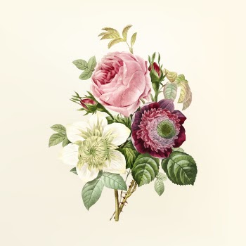 Vintage flower illustration Free Vector