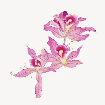 Vintage flower illustration, pink orchid | Free Photo - rawpixel