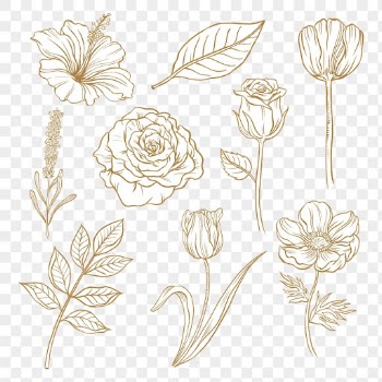Vintage flower png clipart, brown | Free PNG - rawpixel