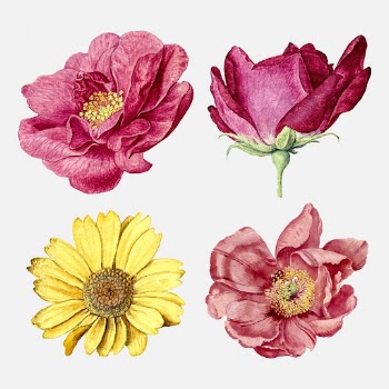 Vintage flower sticker, floral illustration, | Free Vector - rawpixel