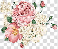 Vintage Flowers, white and pink floral wreath transparent background PNG clipart