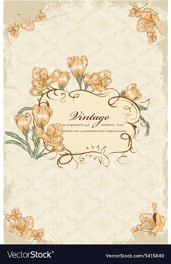 Vintage frame vector image
