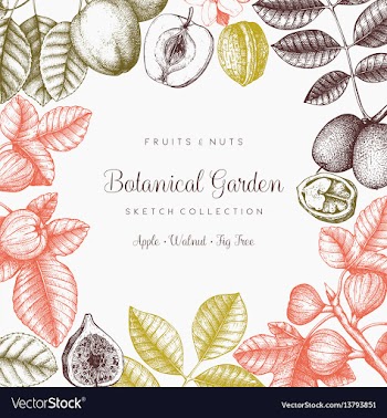  					Vintage frame with botanical elements vector image														