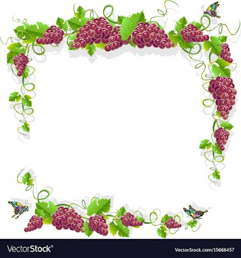 Vintage frame with grape vector image