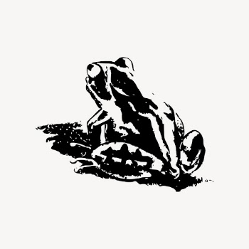 Vintage frog drawing, animal hand | Free Vector - rawpixel