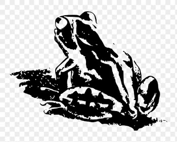 Vintage frog png sticker, animal | Free PNG - rawpixel