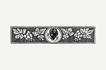Vintage fruit divider clipart illustration | Free PSD - rawpixel