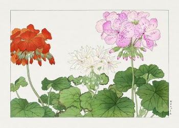 Vintage geranium flower, ukiyo e | Free Photo Illustration - rawpixel