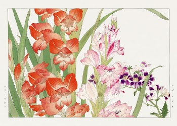 Vintage gladiolus & schizanthus flower, | Free Photo Illustration - rawpixel
