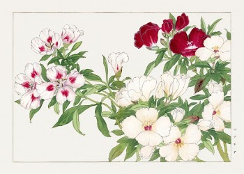 Vintage godetia flower, ukiyo e | Free Photo Illustration - rawpixel