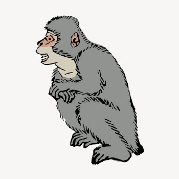 Vintage gray monkey, animal clipart | Free Vector Illustration - rawpixel