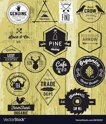 Vintage Hand drawn Labels vector image