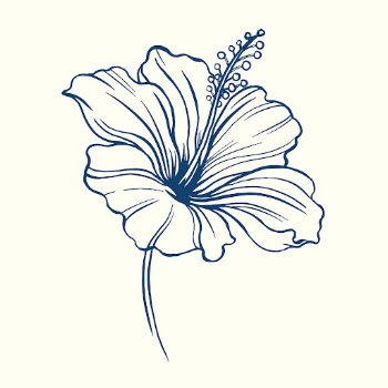 Vintage hibiscus flower tattoo art, | Free Vector Illustration - rawpixel