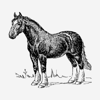 Vintage horse, animal clipart. Free | Free Photo Illustration - rawpixel