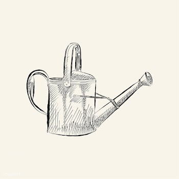 Vintage illustration of a watering can | Free stock vector - 324550