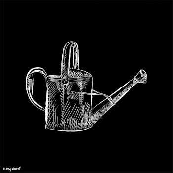 Vintage illustration of a watering can | Free stock vector - 324579