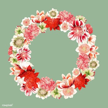 Vintage illustration of Anemone flowers shape.. | Free stock vector - 503588