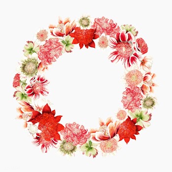 Vintage illustration of Anemone flowers shape.. | Free stock vector - 503593
