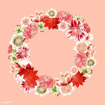 Vintage illustration of Anemone flowers shape.. | Free stock vector - 503603