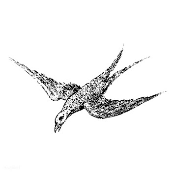 Vintage illustration of Bird | Free stock vector - 523706