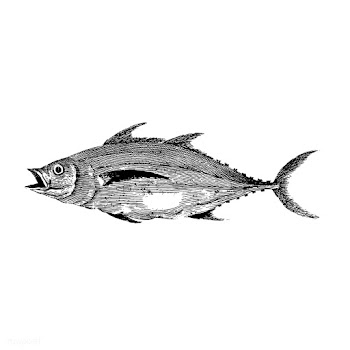 Vintage illustration of Fish | Free stock vector - 523804