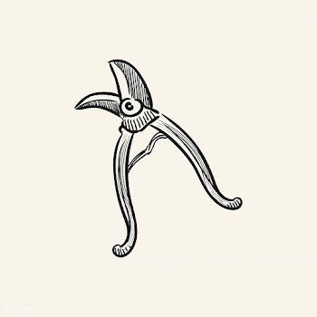 Vintage illustration of pruning shears | Free stock vector - 324552