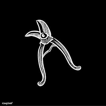 Vintage illustration of pruning shears | Free stock vector - 324557