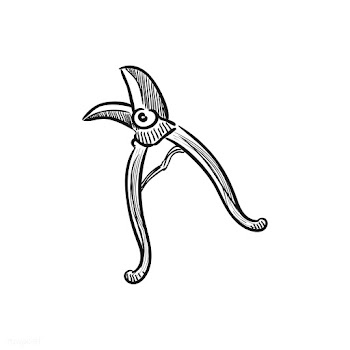 Vintage illustration of pruning shears | Free stock vector - 324607