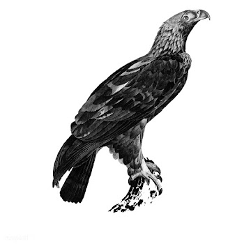 Vintage illustrations of Eastern imperial eag.. | Free stock vector - 523870