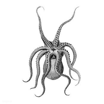 Vintage illustrations of Eight armed cuttle f.. | Free stock vector - 523803